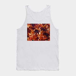 Red Autumn leaves backlit by the rising sun Tank Top
